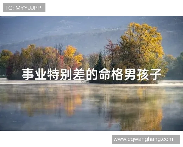 武汉篮球队逆袭之路揭秘：从低谷到巅峰的奋斗与荣耀